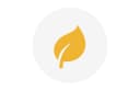 Activity icon